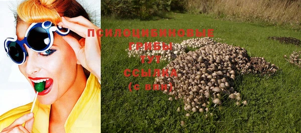 spice Михайловск