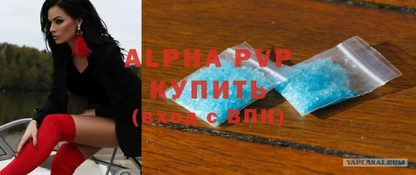 СК Бердск