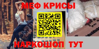 спиды Гай