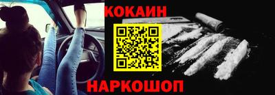 спиды Гай