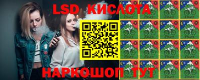 спиды Гай