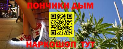 спиды Гай