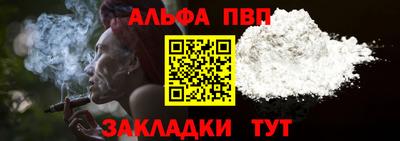 спиды Гай