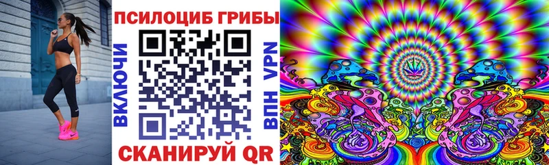 Галлюциногенные грибы Psilocybine cubensis  купить наркотик  Амурск 