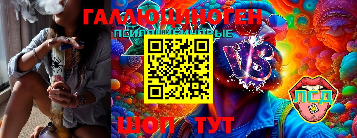 Галлюциногенные грибы Cubensis  Амурск  Галлюциногенные грибы мицелий 