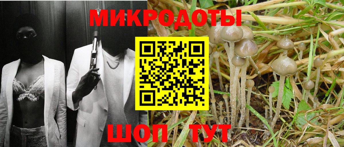Псилоцибиновые грибы мухоморы  Галлюциногенные грибы мухоморы  Вход с VPN  Амурск 