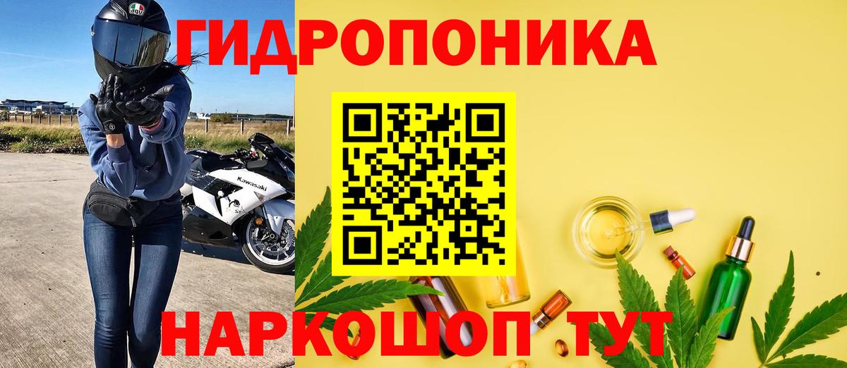 Каннабис планчик Амурск